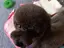 noaのプロフィール画像