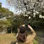 ゆめかのプロフィール画像