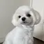 あ！のプロフィール画像