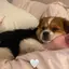 まりりんのプロフィール画像