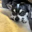 ゆうのプロフィール画像