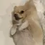 かれんのプロフィール画像