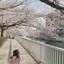 aiのプロフィール画像