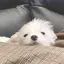 ひなののプロフィール画像