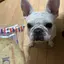 tkのプロフィール画像