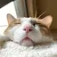 ふかのプロフィール画像