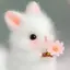 雪の子のプロフィール画像