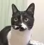 はーこのプロフィール画像