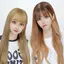 聖菜のプロフィール画像
