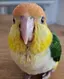 M.Kのプロフィール画像