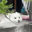 まのプロフィール画像