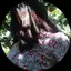 みるのプロフィール画像