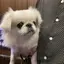 にしがきのプロフィール画像