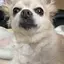 のりかのプロフィール画像