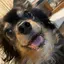 まぁのプロフィール画像