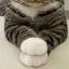 ゆかりのプロフィール画像