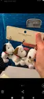 Akoのプロフィール画像