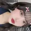 虹海のプロフィール画像
