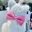 葵のプロフィール画像