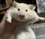 奈未のプロフィール画像