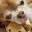 さーちゃんのプロフィール画像