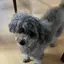 Ayumのプロフィール画像