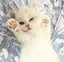 茉凜のプロフィール画像