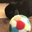 鼻。のプロフィール画像