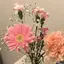 きくちのプロフィール画像