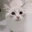 まろのプロフィール画像