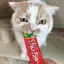 yumikoのプロフィール画像