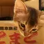 Aliceのプロフィール画像