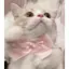 るうなのプロフィール画像