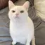 なのプロフィール画像
