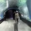 音々のプロフィール画像