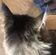 skrkのプロフィール画像