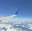 そrのプロフィール画像