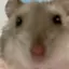 aのプロフィール画像