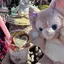 🐰のプロフィール画像