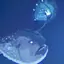 りんのプロフィール画像
