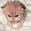 a.のプロフィール画像