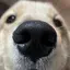 崚のプロフィール画像