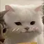 さきのプロフィール画像