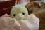 acomiのプロフィール画像