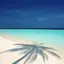Hawaiiholaneのプロフィール画像