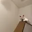 Mのプロフィール画像