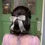 春菜のプロフィール画像