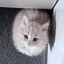 むにのプロフィール画像