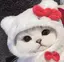 めのプロフィール画像