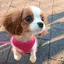ゆかのプロフィール画像